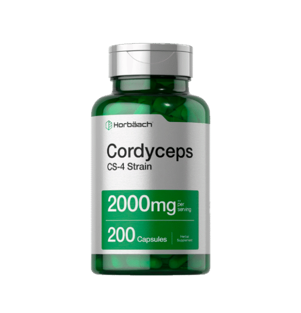 Hongo Cordyceps Sinesis 2000 mg por ración | 200 cápsulas